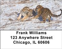 Playful Tigers Address Labels