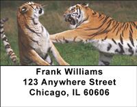 Playful Tigers Address Labels