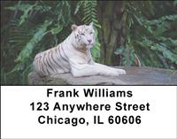 White Tigers Address Labels