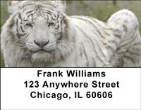 White Tigers Address Labels