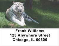 White Tigers Address Labels