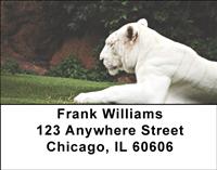 White Tigers Address Labels