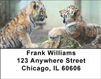 Rambunctious Tiger Cubs Address Labels