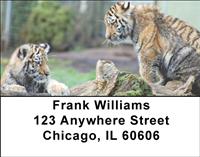 Rambunctious Tiger Cubs Address Labels