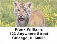 Tiger In The Grass Address Labels