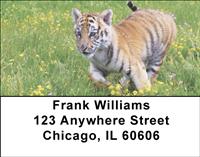 Tiger In The Grass Address Labels