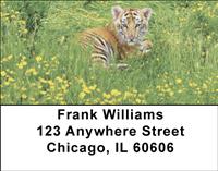 Tiger In The Grass Address Labels