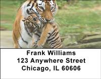 Tiger Family Address Labels