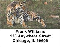 Tiger Family Address Labels