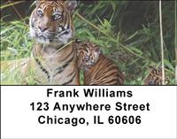 Tiger Family Address Labels