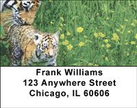 Tiger Family Address Labels