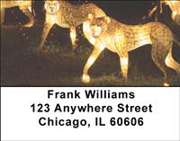 Big Cat Lanterns Address Labels
