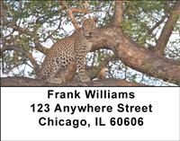 Leopard In Tree Address Labels