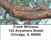 Leopard In Tree Address Labels