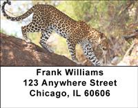 Leopard In Tree Address Labels