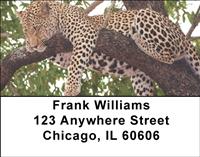 Leopard In Tree Address Labels