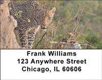 African Leopards Address Labels
