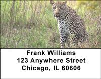 African Leopards Address Labels