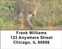 African Leopards Address Labels