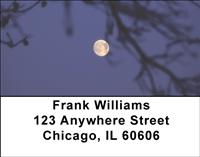 Spooky Moon Address Labels