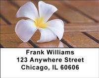 Hawaiian Life Address Labels