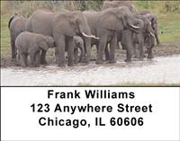 At The Water Hole Address Labels