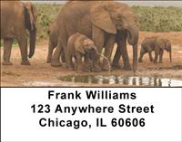 At The Water Hole Address Labels
