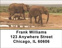 At The Water Hole Address Labels