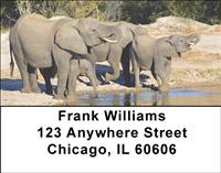 At The Water Hole Address Labels