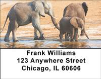 Elephant Family Address Labels