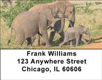 Elephant Family Address Labels
