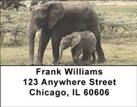 Elephant Calf and Mom Address Labels