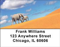 Elephant Calf and Mom Address Labels