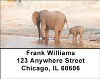Elephant Calf and Mom Address Labels