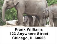 Elephant Calf and Mom Address Labels