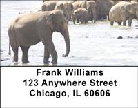 Elephants Cooling Off Address Labels