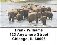 Elephants Cooling Off Address Labels