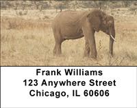 Elephant Walking Address Labels