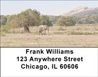 Elephant Walking Address Labels