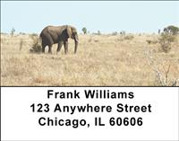Elephant Walking Address Labels