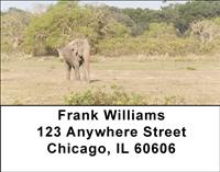 Elephant Walking Address Labels