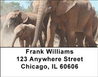 Elephants Crossing Address Labels