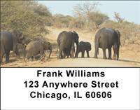 Elephants Crossing Address Labels