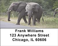 Elephants Crossing Address Labels