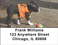 Playful Boston Terriers Address Labels