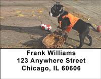 Playful Boston Terriers Address Labels