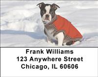 Boston Terriers In The Snow Address Labels