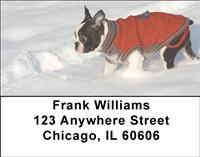 Boston Terriers In The Snow Address Labels