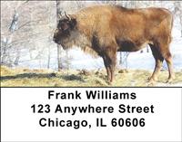 Bison In Winter Address Labels