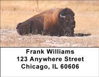 Bison Resting Address Labels